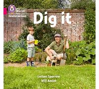 Dig it: Band 01B/Pink B (Collins Big Cat Phonics for Letters and Sounds)