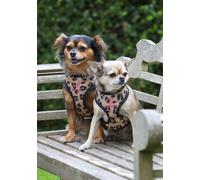 Digby and Fox Leopard Print Dog Harness - Medium