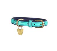 Digby and Fox Padded Leather Dog Collar Aqua - Medium