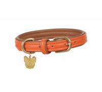 Digby and Fox Padded Leather Dog Collar Orange - Extra Large