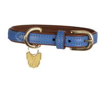 Shires Digby and Fox Padded Leather Dog Collar - XXL (65 - 70cm) · Royal Blue