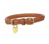 Digby and Fox Rolled Leather Dog Collar in Tan S, Tan