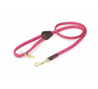 Digby and Fox Rolled Leather Dog Lead Pink - One Size