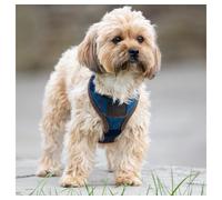 Digby and Fox Tweed Dog Harness Navy - Extra Small