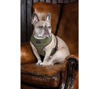 Digby and Fox Tweed Dog Harness Red/Yellow/Blue Check - Extra Small