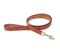 Digby & Fox Flat Leather Dog Lead Tan (M)
