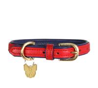 Digby & Fox Leather Padded Dog Collar ER2092