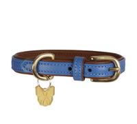 Digby & Fox Leather Padded Dog Collar Royal Blue (S - Neckline: 35Cm-40Cm)