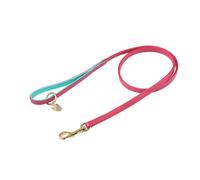 Digby & Fox Leather Padded Dog Lead ER2089