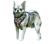 Digby & Fox Leopard Print Dog Harness Brown/black (L- Chest: 35Cm-63Cm)