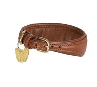 Digby and Fox Padded Greyhound Collar Tan - Small