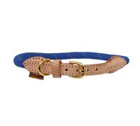 Digby & Fox Reflective Dog Collar - Royal Blue - Size: X Large