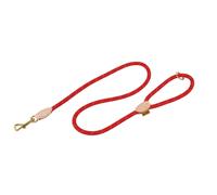Digby & Fox Reflective Leather Training Dog Lead ER1758