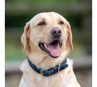 Digby & Fox Tweed Dog Collar - Navy - Size: Medium