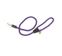 Digby & Fox Twisted Dog Lead ER2109