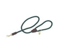 Digby & Fox Twisted Dog Lead Green (One Size)
