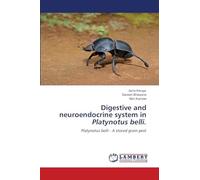 Digestive and neuroendocrine system in Platynotus belli.: Platynotus belli - A stored grain pest