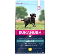 Digestive supplement for dogs Eukanuba Active L