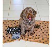 DIGIFLEX Pack of 3 XL Soft Dog Cat Pet Fleece Blankets, Extra Large Plush Throws, Pet Blankets, Beige, Grey and Black, Soft Blanket, Washable Pet Blankets, 140cm x 100cm