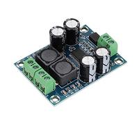 Digital Amplifier Board, TPA3118 Mono Channel Audio AMP High Power Digital Audio Power Amplifier Module 60W DC10-24V for Home Theater Speakers DIY