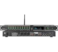 Digital Audio Processor, KTV Pre-stage Effector with Remote Control, USB and Bluetooth Microphone Input, Digital Reverb and Howling Processor for Stage Performance