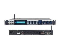 Digital Audio Processor with Anti-Howling, Mobile Control, and Reverb Modes for KTV and Professional Music Performances