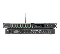 Digital Audio Processor with Remote Control, Intelligent Anti-Howling, Built-in Reverb, High/Mid/Low Tone Adjustment for Performance, KTV, Meetings, Stage Use