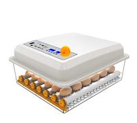 Digital Clear Chicken Duck Egg Incubator 36Eggs, Eggs Hatcher with Automatic Egg Turning and Humidity Control, Chicken Incubators - for Chicken, Ducks, Birds & More (A 36 Eggs)