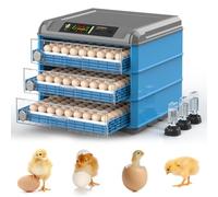 Digital Egg Incubator for Poultry, Automatic Turning with Humidity Control, Ideal for Hatching Chicken, Quail, and Duck Eggs