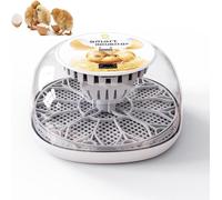 Digital Egg Incubator with Temperature Control, 12 Eggs Capacity, Automatic Turning, Water Filling System,Chicken Incubator Home Incubator for Duck Bird Goose Eggs (Gray)