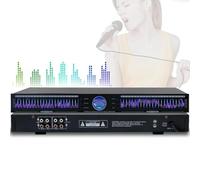 Digital Equalizer - Dual-Channel Graphic EQ with 10 Preset Effects, Low/Mid/Treble Adjustment, Automatic Noise Reduction, 1U Rack Mount for Recording Studio