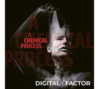 Digital Factor - A Chemical Process