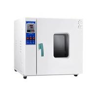 Digital Lab Oven, Thermostatic Industrial Air Drying Oven, Convection Temperature Control, Stainless Steel,