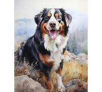 Digital Oil Painting Artwork,Watercolor Bernese Mountain Dog,Painting by Numbers Art Oil Painting for Gift Decor,40x50cm,Without Frame