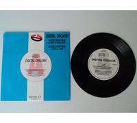 Digital Orgasm - Moog Eruption