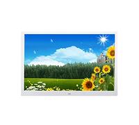 Digital Photo Frame, 17-inch High-resolution Photo Frame, 1080P High-definition Video Playback, Suitable for a Variety Of Scenarios (white)