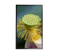 Digital Photo Frame 32 Inch, Full HD 1920x1080, Vertical Screen, Wall Mount, Motion Sensor, Easy Setup