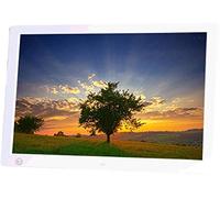 Digital Photo Frame Digital Photo Frames 17-inch Photo Frame High-Definition Screen Electronic Photo Album With Human Body Sensing FunctionHDMI Display,White Color