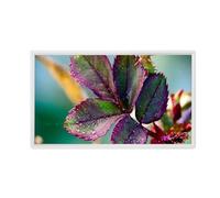 Digital Photo Frame, IPS Display, 1080P HD Screen, Wall-mounted Advertising Machine, Easy to Set Up