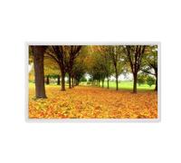 Digital Photo Frame with IPS Display, 1080P HD Screen, Wall-mounted Advertising Machine, Easy Setup