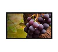 Digital Photo Frame with IPS Full HD Screen, Timer Function, Wall-Mounted for Easy Setup in Living Spaces