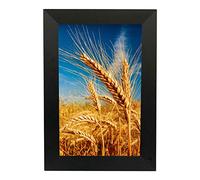 Digital Photo Frames 10-inch, supports HD smart touch advertising player for photo/video playback/WIFI connection Decorative Gift