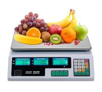 Digital Price Computing Scale, 40kg, LCD Display, Stainless Steel Platform, Rechargeable, for Shop, Market, Deli, Meat and Fruit (Sliver & White)