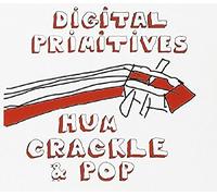 Digital Primitives - Hum Crackle & Pop
