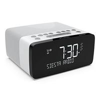 Digital Radio Alarm Clock, Acrylonitrile Butadiene Styrene (ABS), Polar,