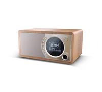 Sharp DR-450 Personal Digital Brown, Stainless steel