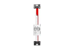 Digital Readout Linear Ruler 0-100mm 0-150mm 0-200mm 0-300mm 0-400mm(0-300mm)