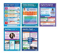 Digital Safety (Middle & High School) Posters - Set of 5 | Online Safety Posters | Laminated Gloss Paper 33” x 23.5” | Internet Safety Class Posters | Education Charts