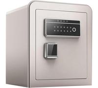 Digital Security Safe Box Double Safety Key Lock and Password, Personal Home Safe, Hotel Safe, Jewelry Safe, Safe, Closet Safe (Color : Deep Gray)