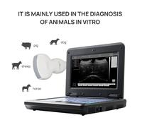 VET Veterinary Ultrasound scanner Laptop Machine with 3.5Mhz Convex Probe